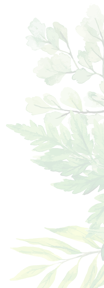 A watercolor illustration of plant leaves